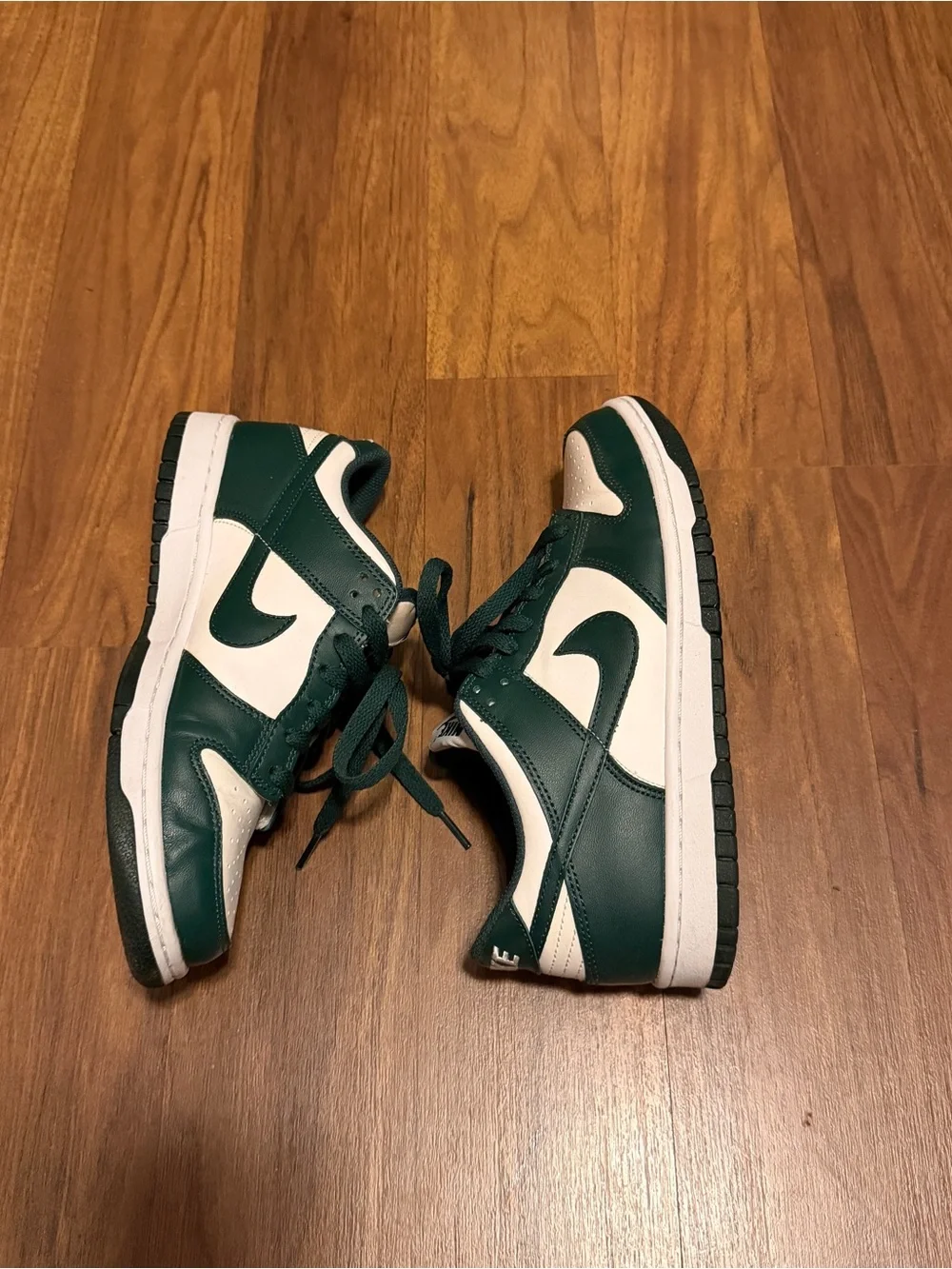 Nike classic dunk
